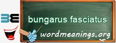 WordMeaning blackboard for bungarus fasciatus